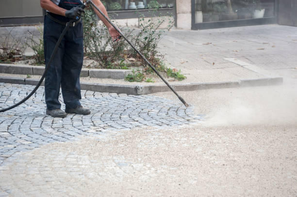 Best Roof Cleaning and Mildew Removal in Bardonia, NY